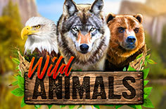 Игровой автомат Wild Animals с бонусами на деньги